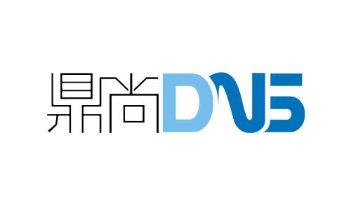 Shanghai DNS Investment Management