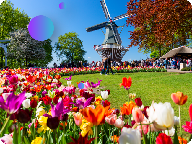 Netherlands: Gov Investigates the Effectiveness of Reduced VAT Rate