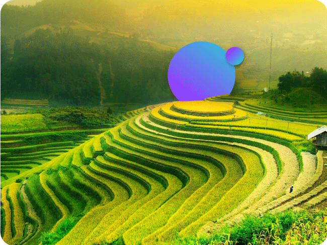 Vietnam: Reduced VAT rate expected to give economic boost